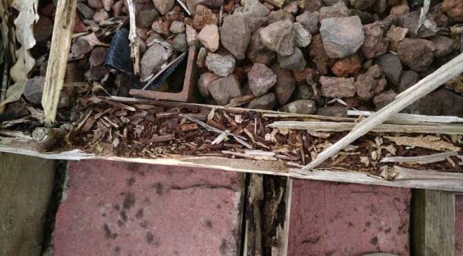 Why Building Inspection and Pest Inspection Services Are Essential in Glen Waverley