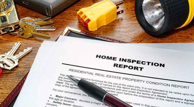 Comprehensive Pest Inspection Service and Pre-Auction Reports in Point Cook