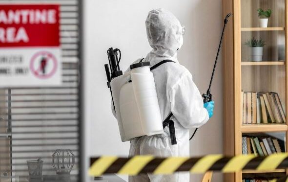 What Is a Building and Pest Inspection and Why Is It Important?