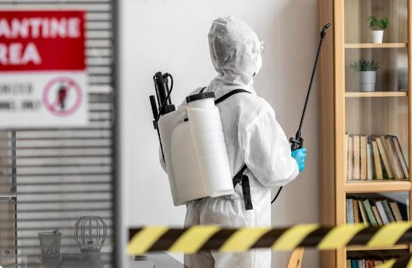 building and pest inspection