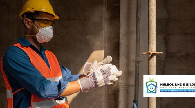 Top Signs You Need a Termite Inspection Immediately